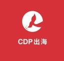 推动中国品牌走向世界，CDP集团中企出海解决方案筑牢海外经营防线